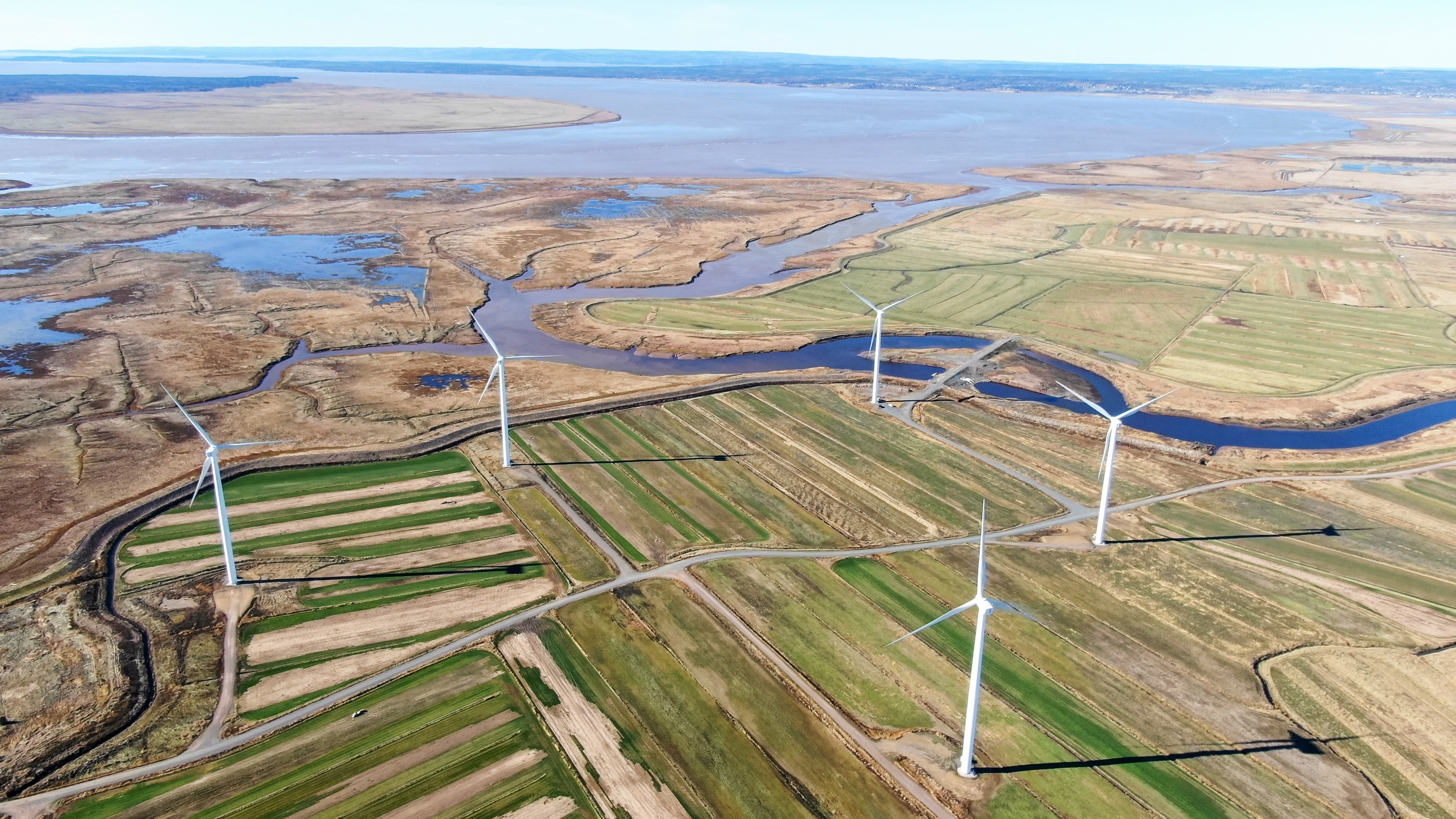 Wind turbines sit on the marsh near Amherst.